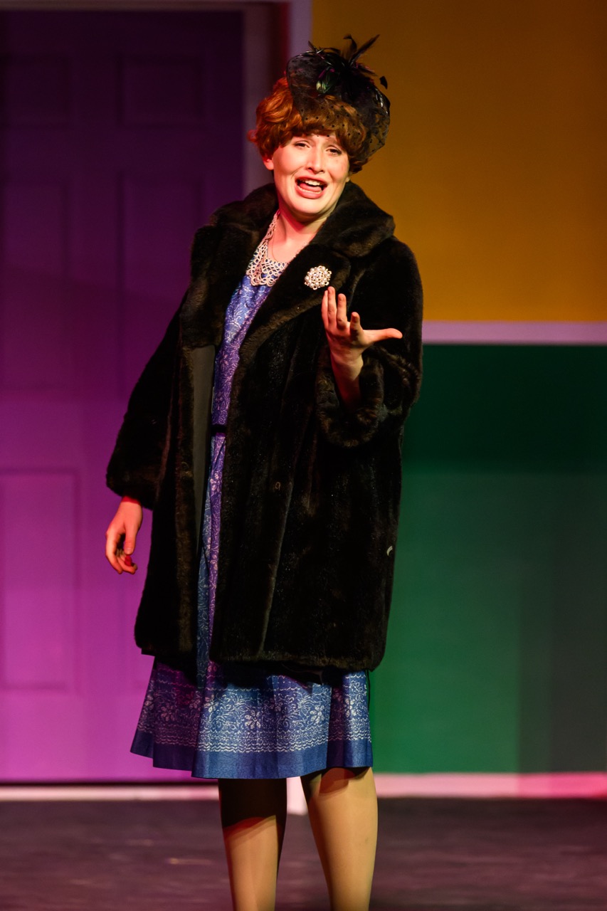 Bye Bye Birdie — production photo